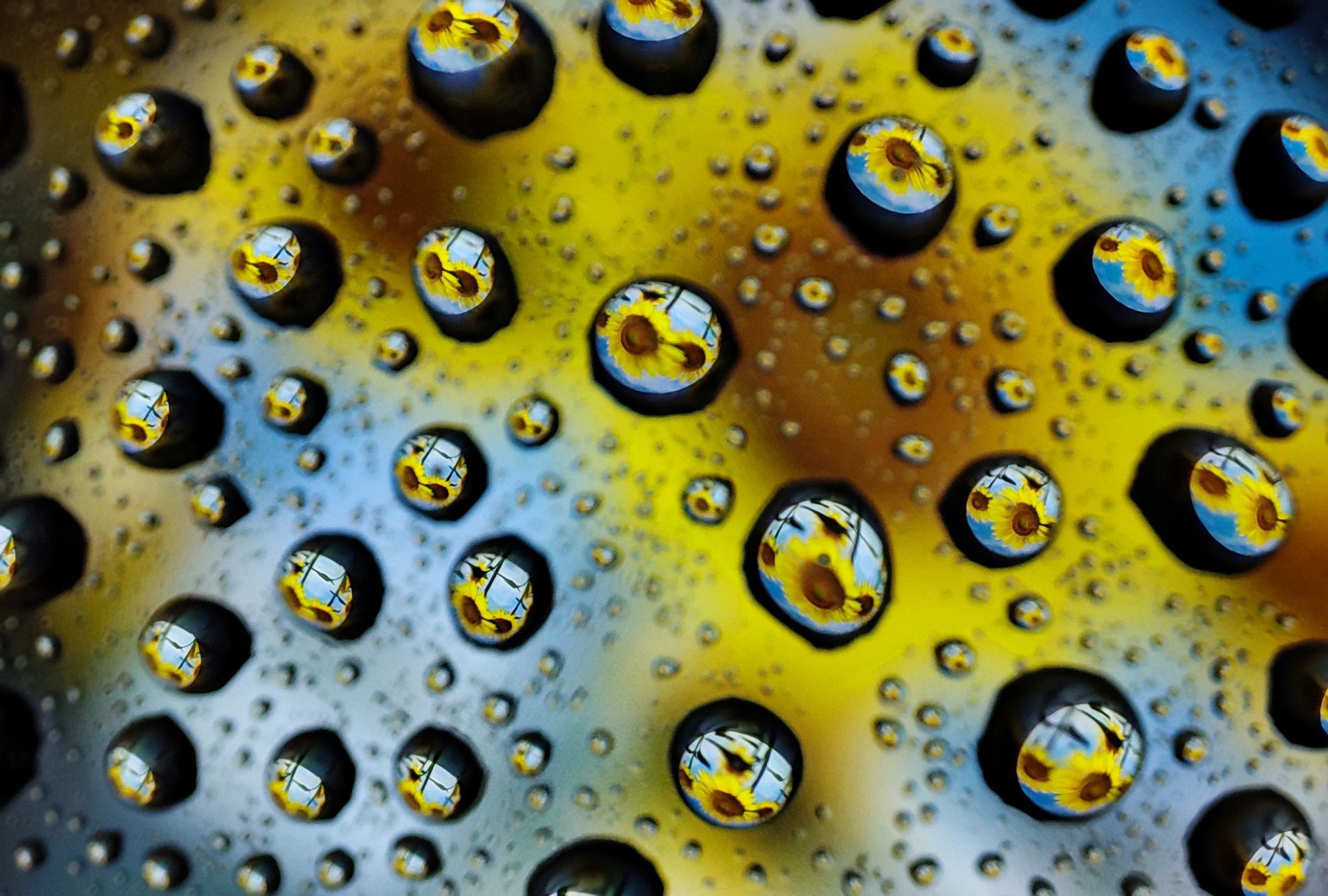 这么好看的水滴照片原来是用手机超级微距拍摄的这太厉害了吧