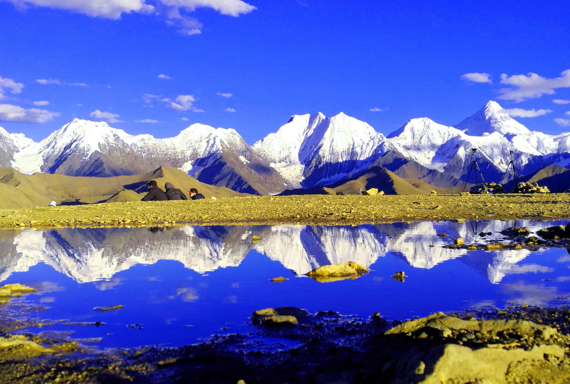 雅哈_雅哈最新消息,新闻,图片,视频_聚合阅读_新浪网