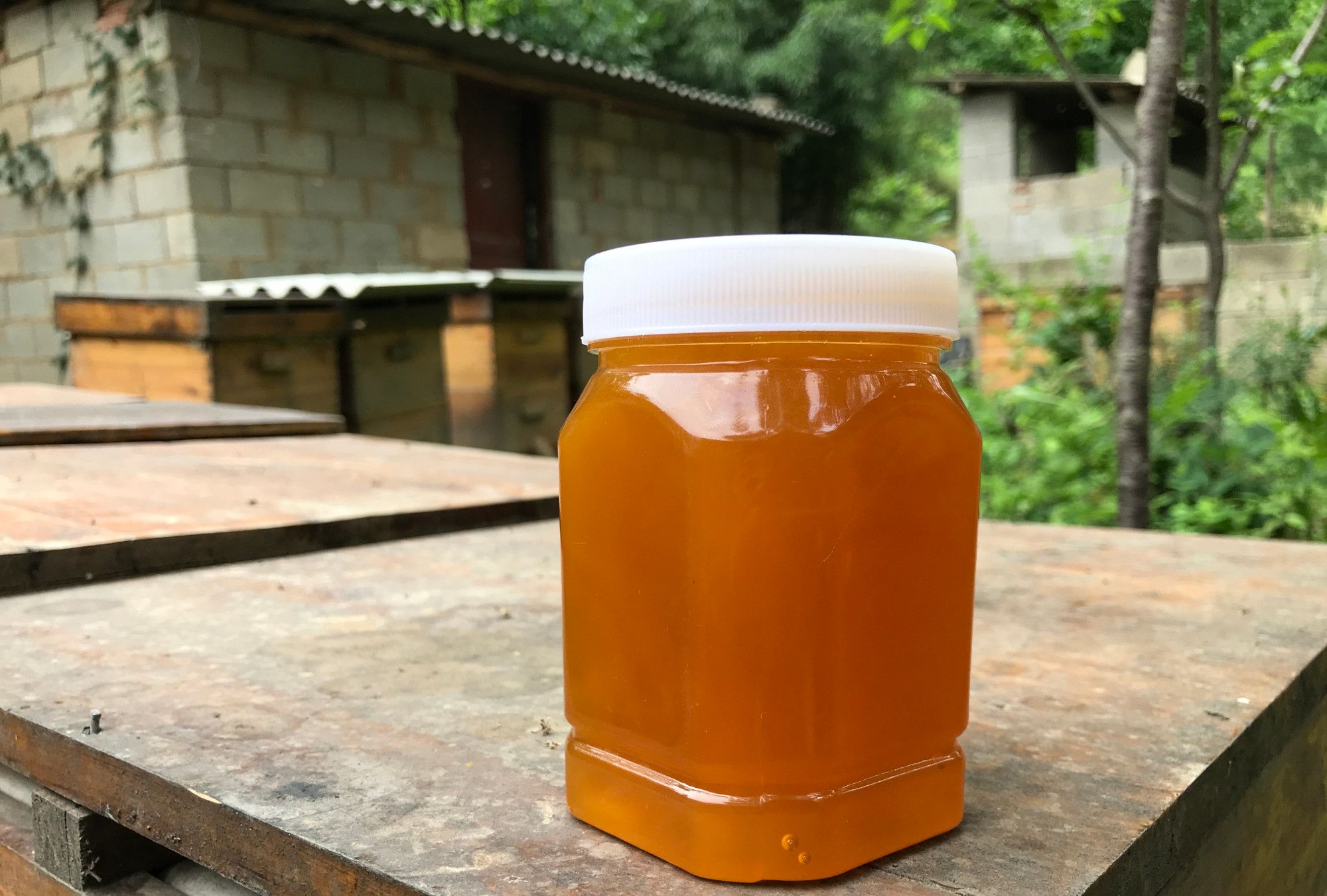 源于深山的美味,这才是蜂蜜该有的样子_高清图集_新浪网