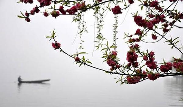 最新消息披露：春雨可约可空降到底靠不靠谱 全新解读与业内十年老兵深度分析