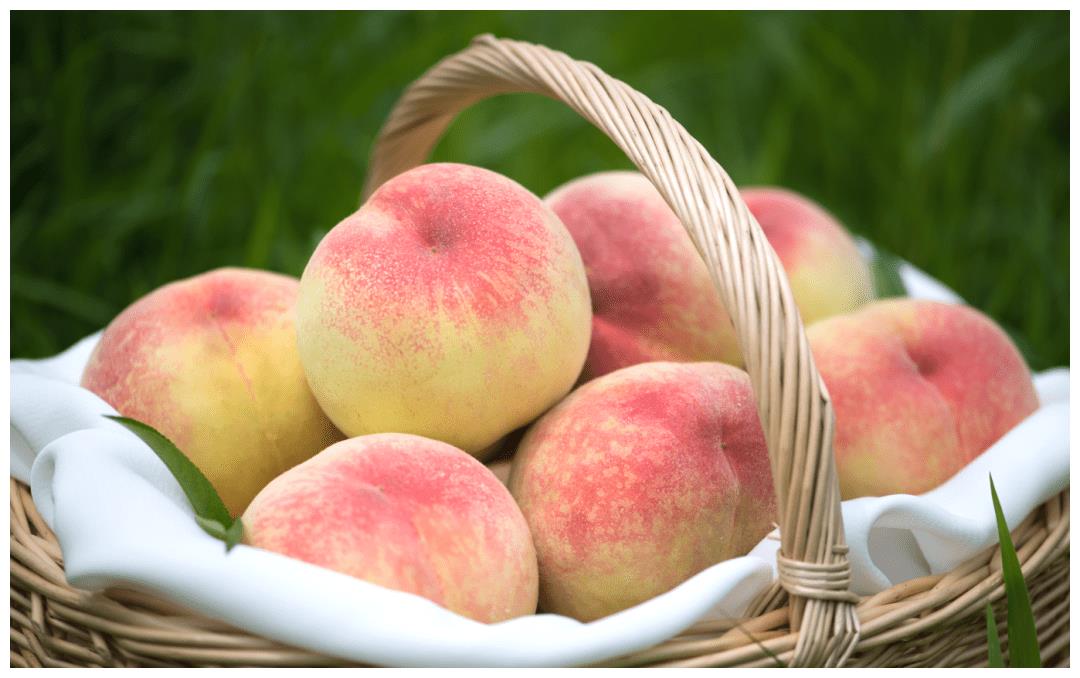 缤纷六月, 阳山水蜜桃闪亮登场 此时的阳山, 早桃品种朝阳,京红等 齐