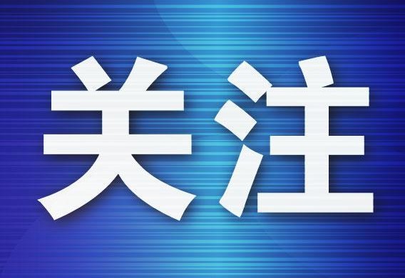 新楼投用、育人提质!西岗新学期教育民生实事集中落地 新楼投用、育人提质!西岗新学期教育民生实事集中落地