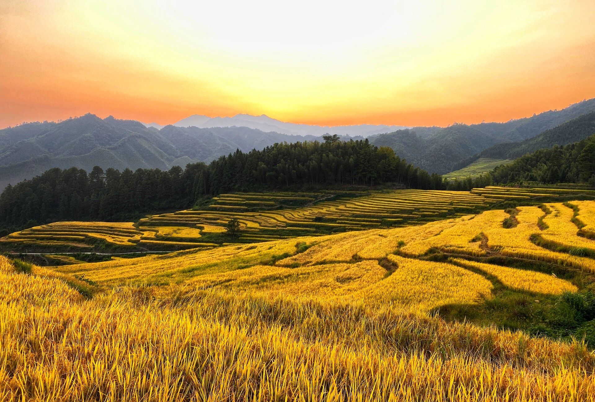 清远连山欧家梯田,美得像一幅画,让你忍不住多看一眼