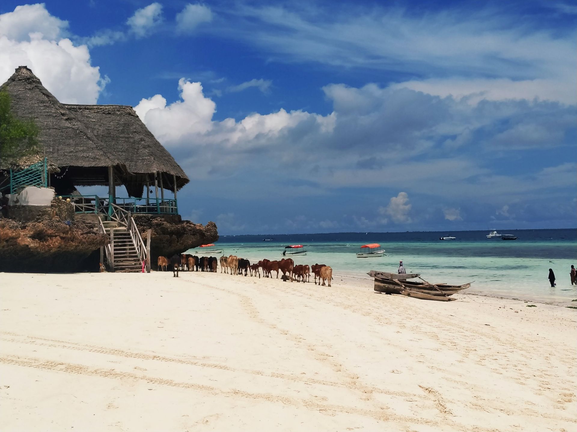 游览 非洲 坦桑尼亚 桑给巴尔 nungwi海滩