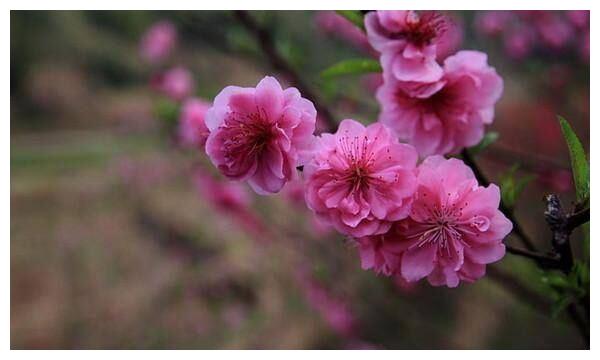 未来10个月，10大财运，10大喜事，3大生肖能赚10万元！休闲区蓝鸢梦想 - Www.slyday.coM