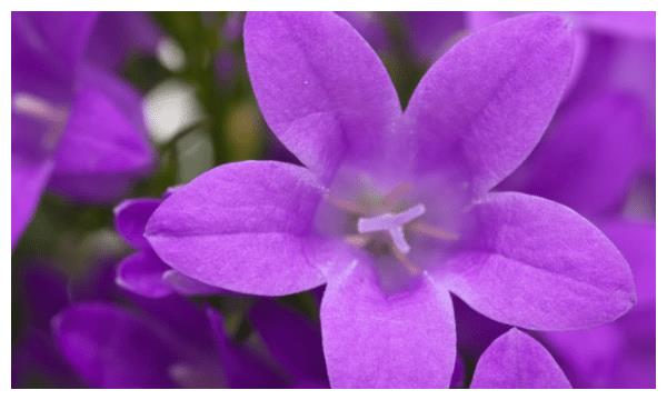 2月22日23日24日最富有 将能有钱有势 成为人生大赢家的星座 星座 财运 赢家 新浪新闻