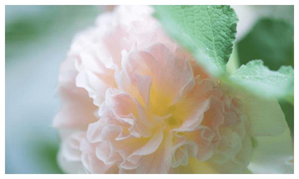 今后一个月贵人帮助3生肖财运来了,赚了很多钱!休闲区蓝鸢梦想 - Www.slyday.coM 今后一个月贵人帮助3生肖财运来了,赚了很多钱!休闲区蓝鸢梦想 - Www.slyday.coM