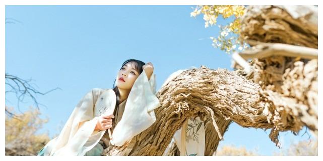 12月23日星座运势：脚踏实地，有勇有谋的四大星座休闲区蓝鸢梦想 - Www.slyday.coM