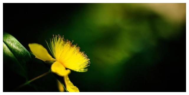 再熬49日 四大生肖生活舒心惬意 财神爷贵人助威 生活舒心惬意 贵人 生肖狗 生肖兔 新浪新闻