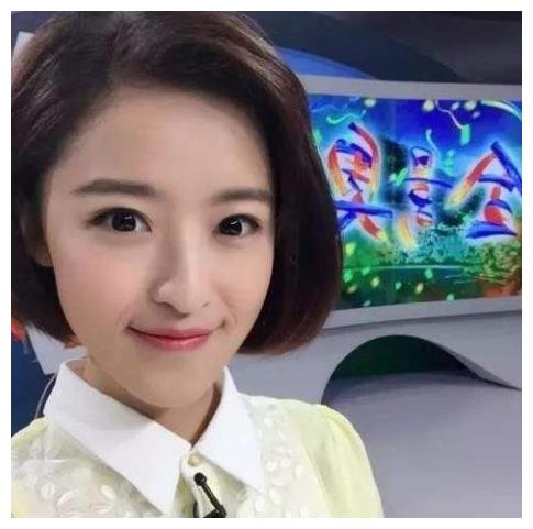 之前和黄彬原一同主持的《冰天雪地》这一栏目也被央视下令去除,最后