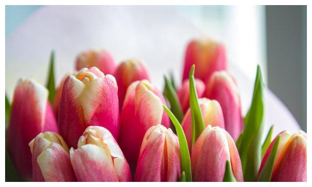 6天后 红娘眷顾 旧情缱绻 惺惺相惜 回心转意 真爱永不散场