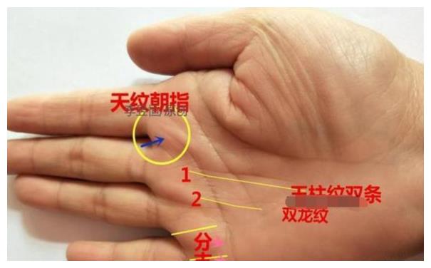 麻衣手相双龙纹在手天下你有钱财无忧