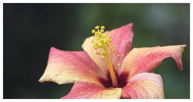 5月11日运势大发大吉的生肖 运势 财运 生肖蛇 新浪新闻 5月11日运势大发大吉的生肖 运势 财运 生肖蛇 新浪新闻