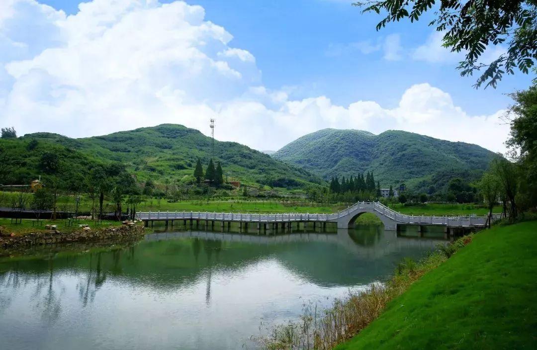 赏牡丹何必去洛阳,安徽也有个赏花胜地,是景点,还免费开放