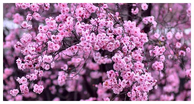 8月24日星座运势前三运势会进入巅峰