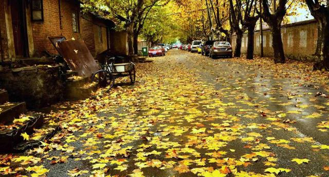 李白:这是我“才华横溢”溢出的唐词,就拿唐词的格式来当题目吧休闲区蓝鸢梦想 - Www.slyday.coM 李白:这是我“才华横溢”溢出的唐词,就拿唐词的格式来当题目吧休闲区蓝鸢梦想 - Www.slyday.coM