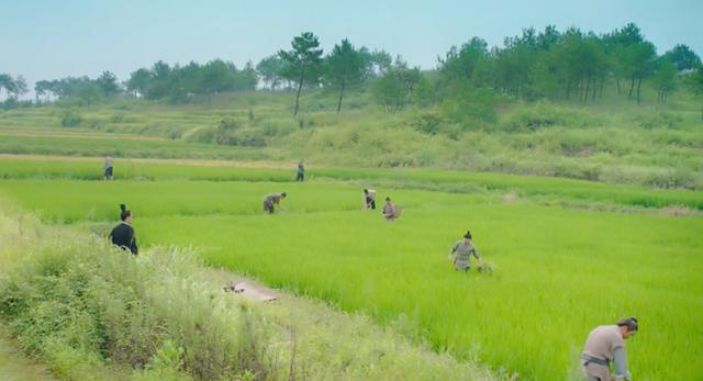 平民百姓如何追求女生 没有经济能力怎么谈恋爱