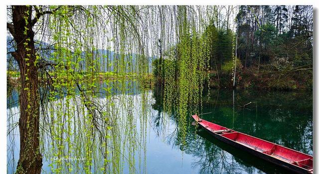 诗人咏柳,却不写一“柳”字,狠狠地讽刺了那些得志便猖狂的小人休闲区蓝鸢梦想 - Www.slyday.coM 诗人咏柳,却不写一“柳”字,狠狠地讽刺了那些得志便猖狂的小人休闲区蓝鸢梦想 - Www.slyday.coM