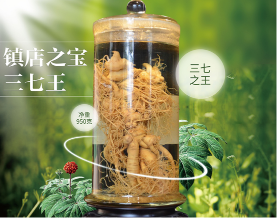 (三七种植大王陈高田与单株重量最高纪录“三七王”)
