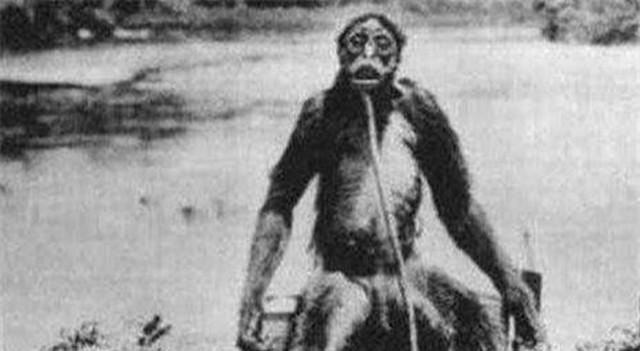 神农架深处,为何会被列为禁区?一神秘现象,至今科学都不能解释休闲区蓝鸢梦想 - Www.slyday.coM 神农架深处,为何会被列为禁区?一神秘现象,至今科学都不能解释休闲区蓝鸢梦想 - Www.slyday.coM