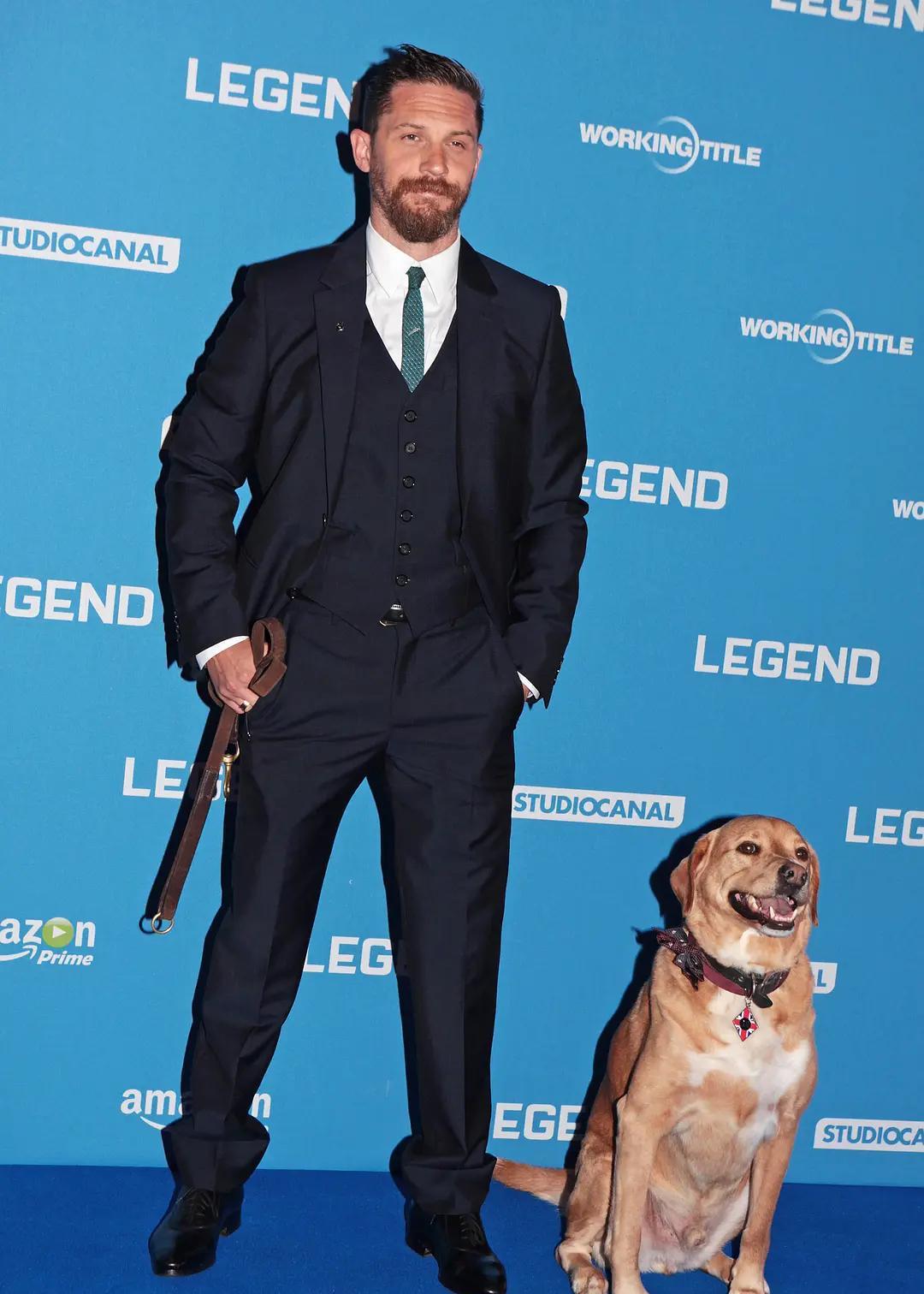 好莱坞男演员排行榜_好莱坞演员片酬排行榜:丹尼尔·克雷格以一亿美片酬元高居榜首