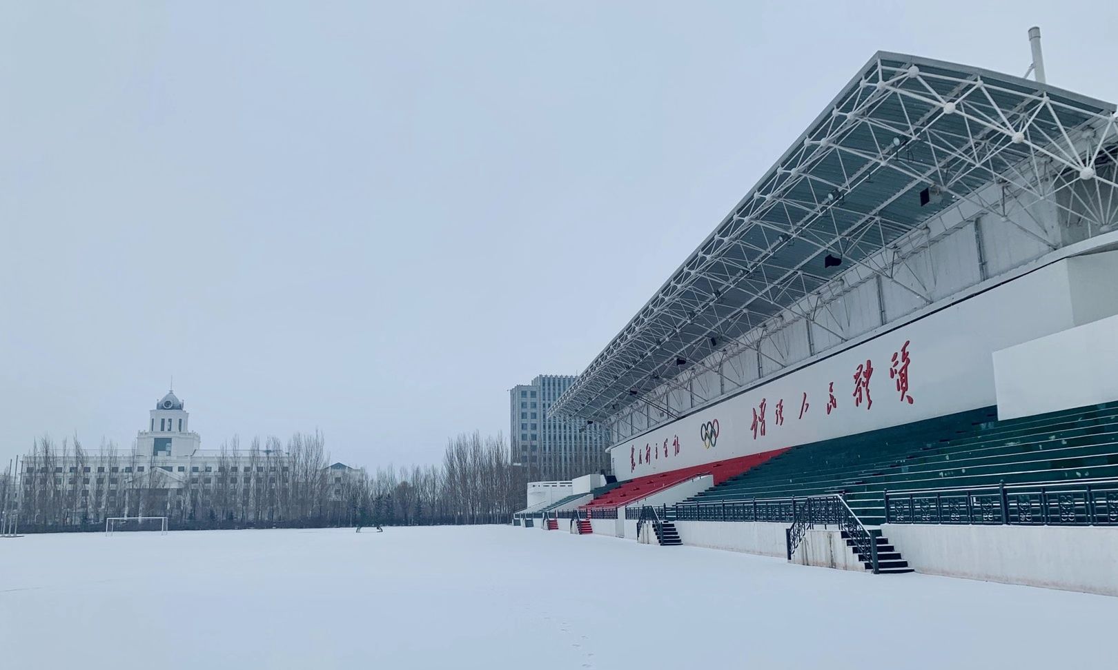 黑龙江省大庆实验中学校园雪景__财经头条