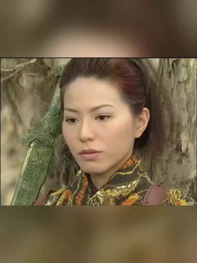 寻秦记善柔冒着生命危险以杀人为业廷芳好奇她是为了什么