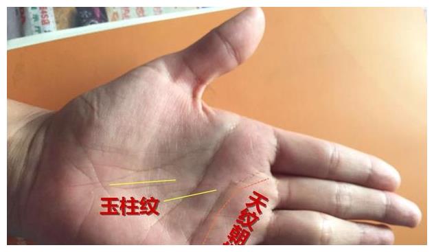 麻衣手相女人食指独长,玉柱纹直贯中指,天生事业有成财运丰!__财经头