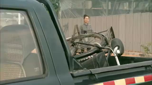 野鸭子2野鸭子回来了凤姐可高兴了还叫野鸭子给自己抓鸭子