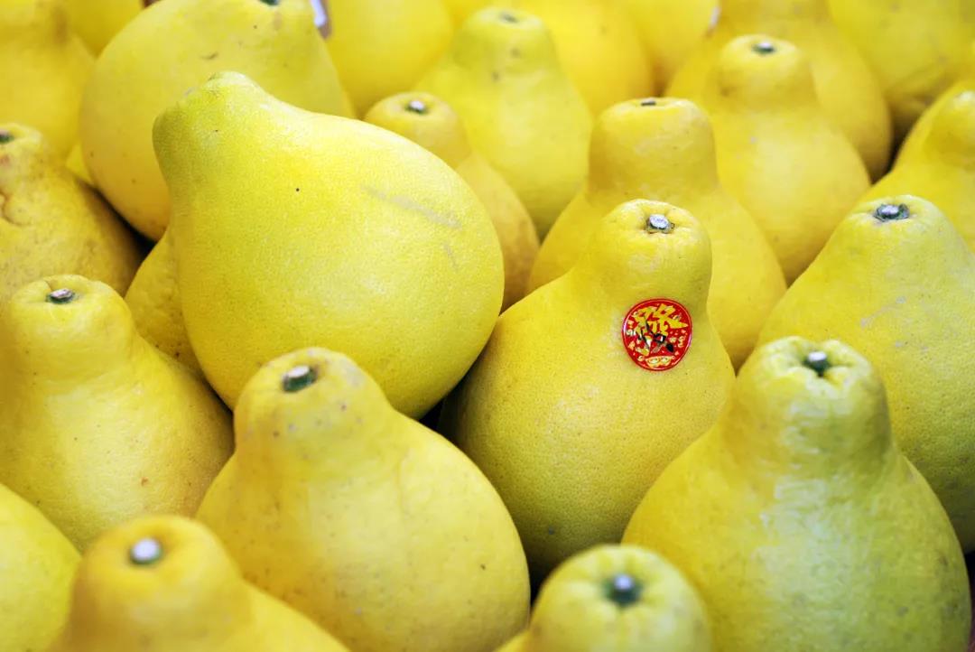 容县沙田柚多汁又甜香