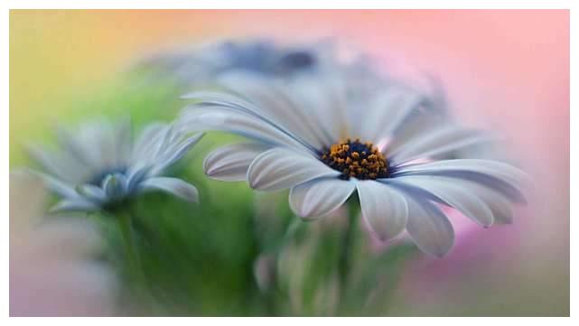 再熬49日 四大生肖生活舒心惬意 财神爷贵人助威 生活舒心惬意 贵人 生肖狗 生肖兔 新浪新闻