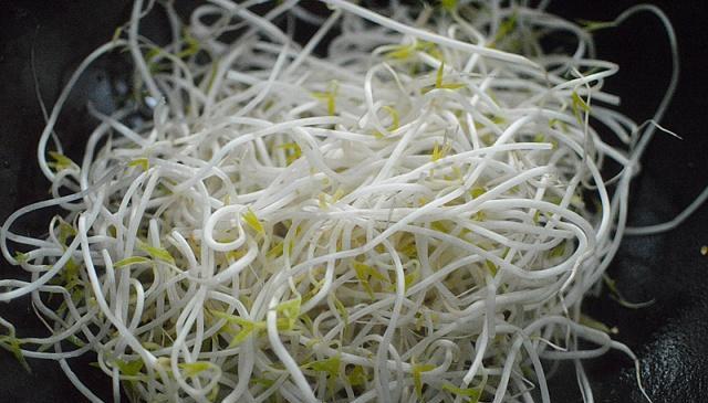 适合夏季吃的低脂菜,几块钱做一盘,5分钟端上桌,太香了|黄豆芽|低脂