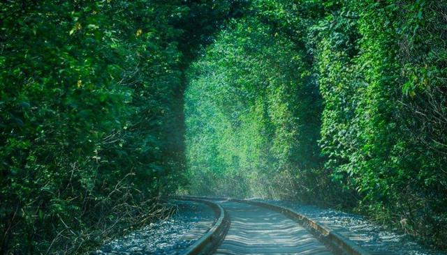 汪国真很感人的一首诗,写得很是真诚,犹如一盏灯照亮了远方的路休闲区蓝鸢梦想 - Www.slyday.coM 汪国真很感人的一首诗,写得很是真诚,犹如一盏灯照亮了远方的路休闲区蓝鸢梦想 - Www.slyday.coM