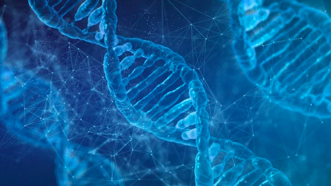 新基石研究员项目上马10年投入100亿支持基础科研