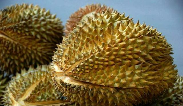 6张图片中，有两张不是榴莲，吃货不用闻气味就能看出来！休闲区蓝鸢梦想 - Www.slyday.coM