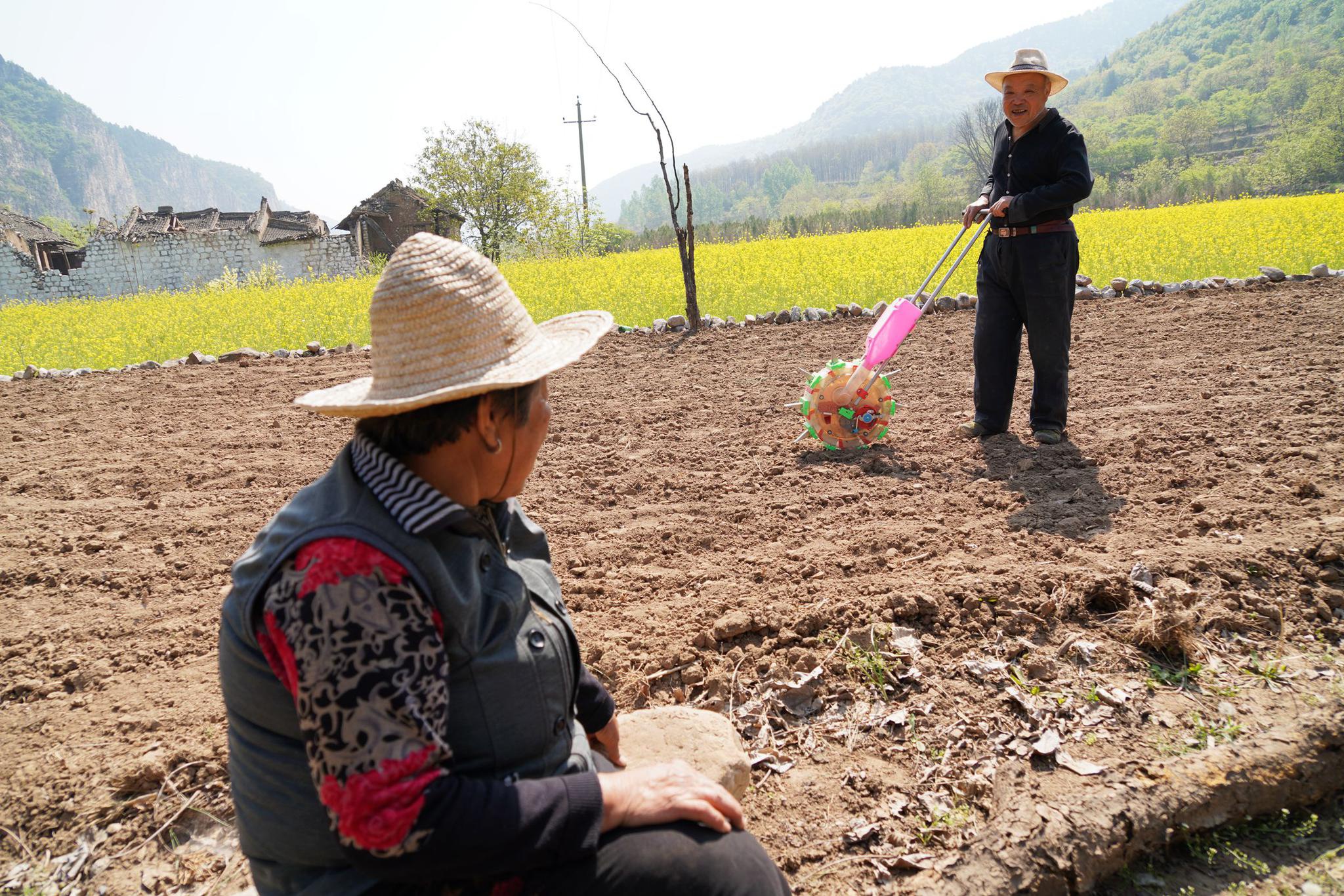 1女,现在是我的领导,她在农村辛苦了一辈子,我回家种庄稼就全靠她指挥