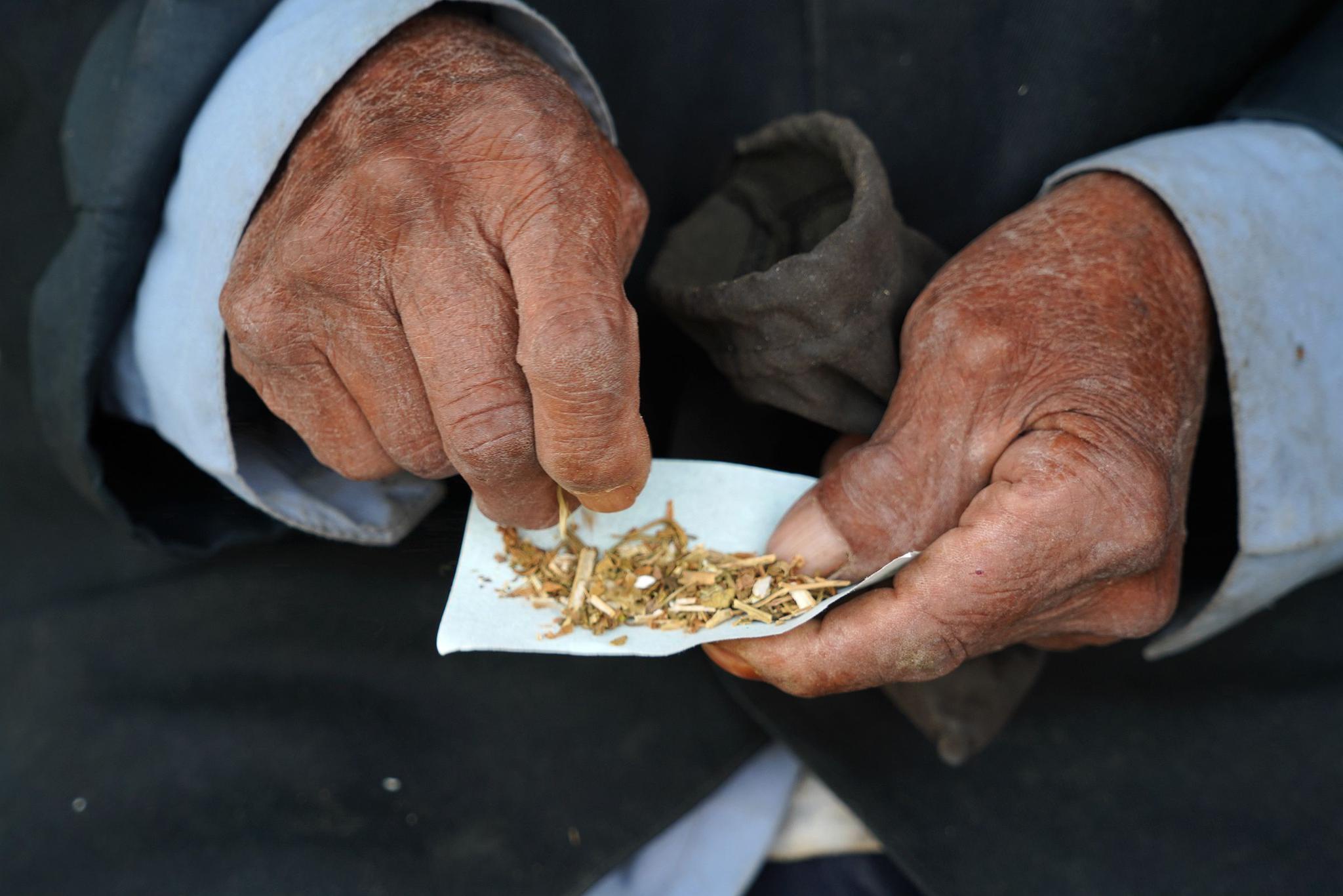 92岁爷爷偷偷下地割烟草,90岁奶奶说抽了70多年烟,管不了|旱烟|下地