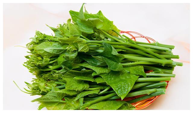 瓜尖尖怎么做最好吃