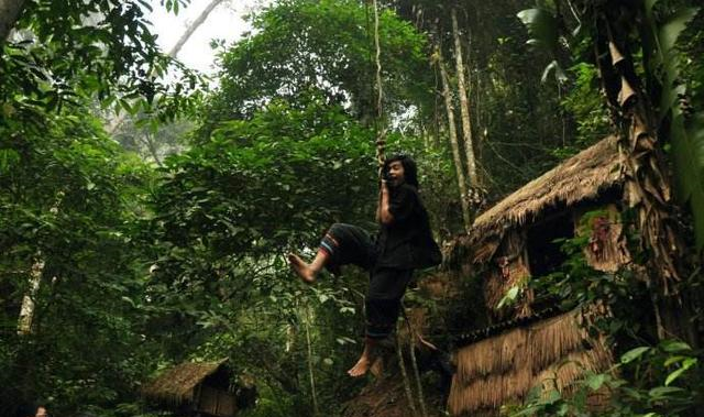 最会爬树的原始部落将家盖在10米高的树上只因想离太阳近一些