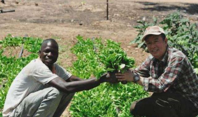 16万“扎根”在非洲的中国人，他们的生活如何？网友：个个配保镖休闲区蓝鸢梦想 - Www.slyday.coM