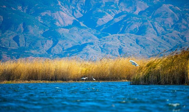 我喜欢秋天的大理,短暂却一直美好,微风不燥,秋阳温暖宜人休闲区蓝鸢梦想 - Www.slyday.coM 我喜欢秋天的大理,短暂却一直美好,微风不燥,秋阳温暖宜人休闲区蓝鸢梦想 - Www.slyday.coM