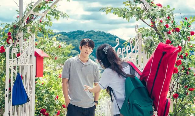 国产甜宠剧，能从<a href=