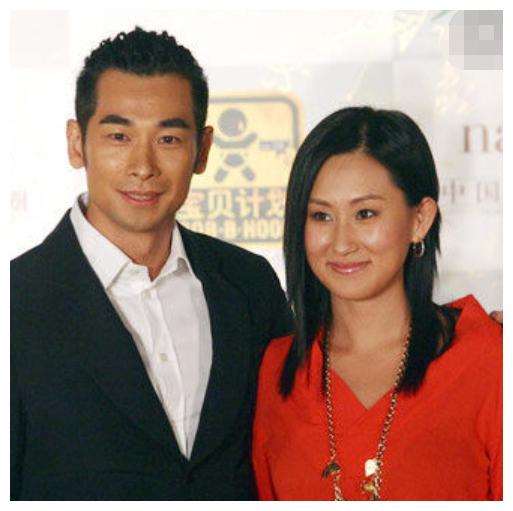 张丹露嫁给了梅艳芳挚爱的赵文卓如今儿女双全成人生赢家