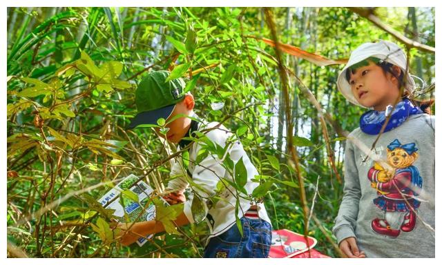 那些能看清地下的寻宝仪，原理是什么，真能找到金银珠...