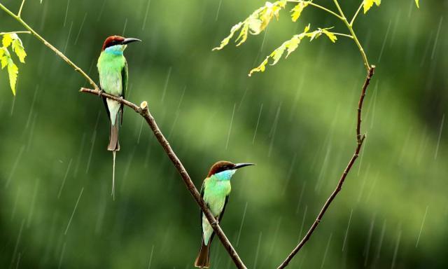 在风雨中相会也在风雨中离别这是首写风雨的词也是写离别的词