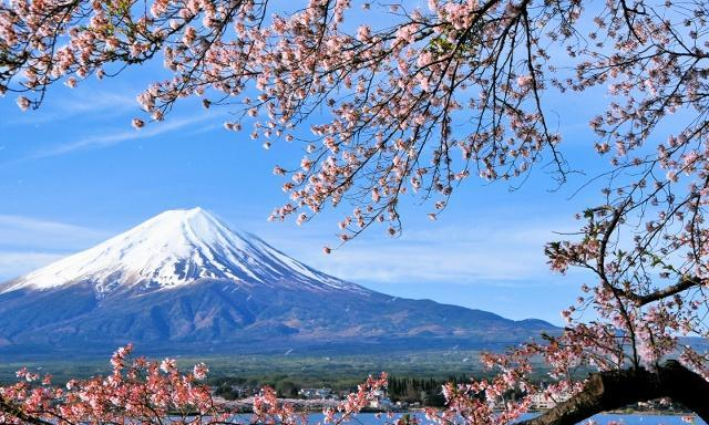 旅行逃不过真香定律，看<a href=