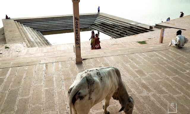 印度为什么纵容牛？允许它在街上自由溜达，连车都要给它让路休闲区蓝鸢梦想 - Www.slyday.coM