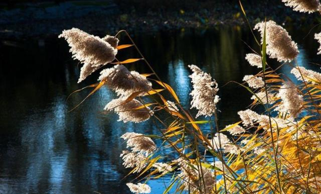 李白:这是我“才华横溢”溢出的唐词,就拿唐词的格式来当题目吧休闲区蓝鸢梦想 - Www.slyday.coM 李白:这是我“才华横溢”溢出的唐词,就拿唐词的格式来当题目吧休闲区蓝鸢梦想 - Www.slyday.coM