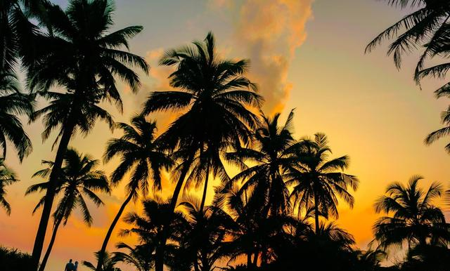 人生的幸福感,主要来自于,有多大能力做多大事!休闲区蓝鸢梦想 - Www.slyday.coM 人生的幸福感,主要来自于,有多大能力做多大事!休闲区蓝鸢梦想 - Www.slyday.coM