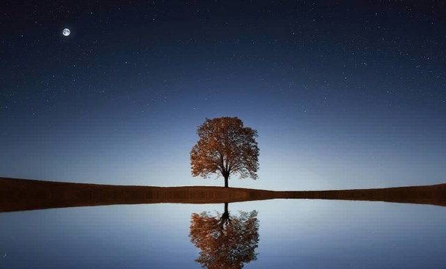 黄庭坚乘凉时写下一首诗,短短28字,能让你凉爽一整个夏天休闲区蓝鸢梦想 - Www.slyday.coM 黄庭坚乘凉时写下一首诗,短短28字,能让你凉爽一整个夏天休闲区蓝鸢梦想 - Www.slyday.coM